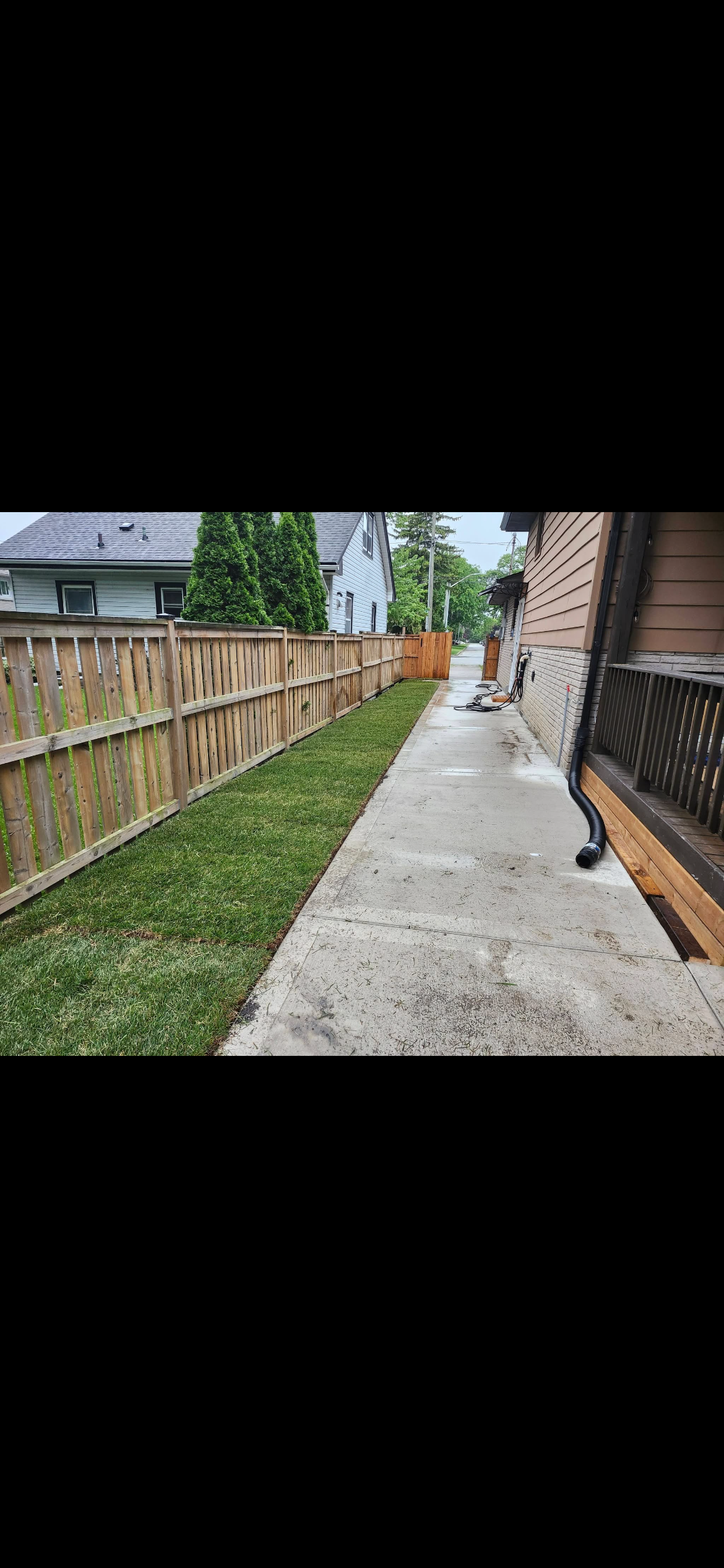 New sod installed along a residential side yard