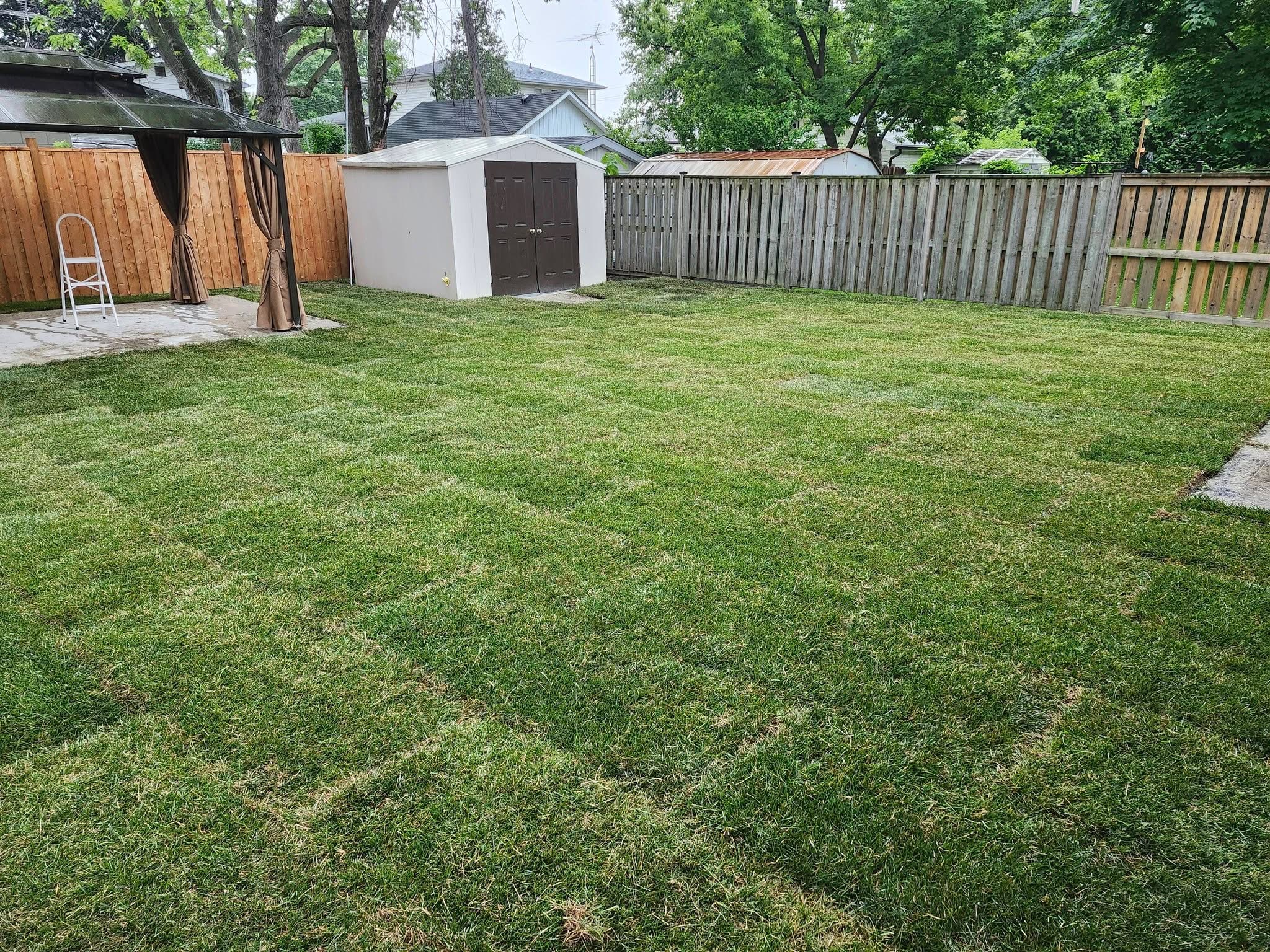Fresh sod installed across a residential backyard