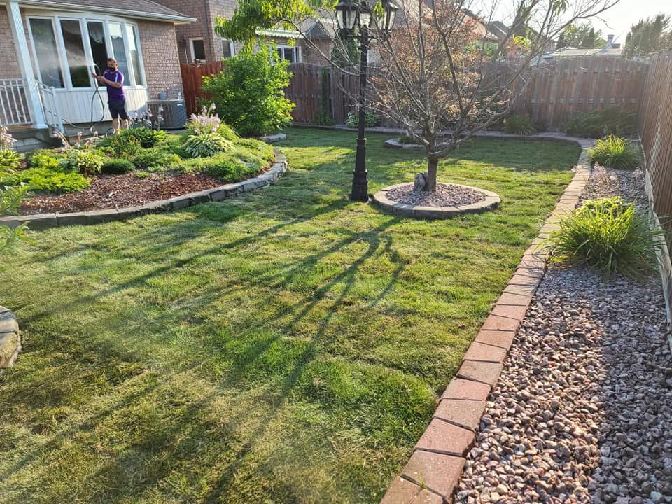 Backyard lawn bordered by garden beds and decorative stone